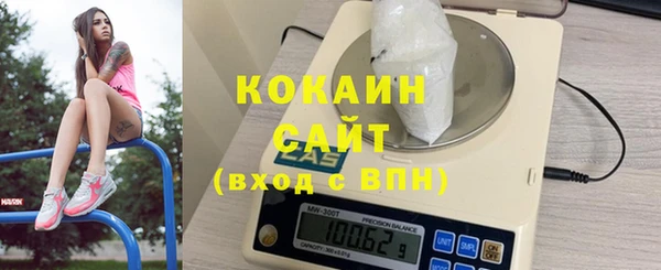 таблы Бородино