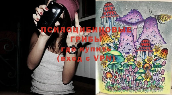 таблы Бородино