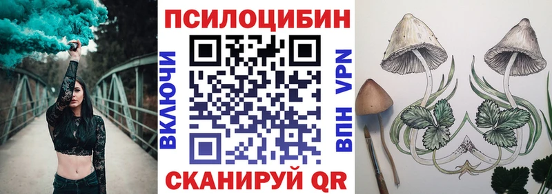 Купить  Белозерск  Галлюциногенные грибы мицелий 